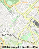 Pelletterie - Ingrosso e Produzione Roma,00185Roma