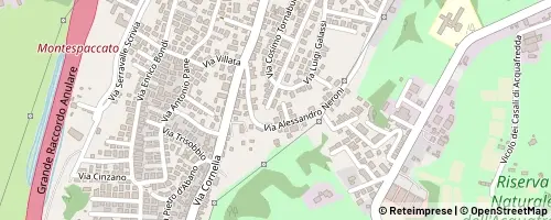 Mappa Roma