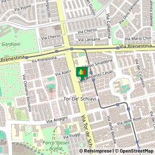 Via Tor de' Schiavi, 384, 00171 Roma RM, ,00171Roma