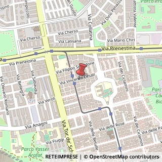 Mappa Via Vincenzo Cesati, 64, 00171 Roma, Roma (Lazio)