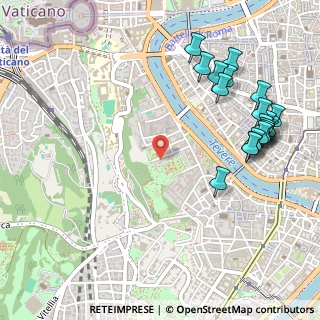 Mappa Via dei Riari, 00165 Roma RM, Italia (0.6745)