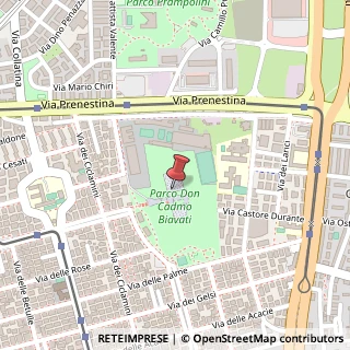 Mappa Via Federico Delpino, 187, 00171 Roma, Roma (Lazio)