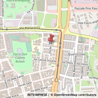 Mappa Via dei Larici, 20, 00171 Roma, Roma (Lazio)