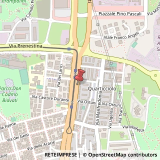 Mappa Viale Palmiro Togliatti, 972, 00171 Roma, Roma (Lazio)