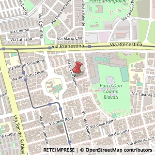 Mappa Via dei Ciclamini,  185, 00171 Roma, Roma (Lazio)