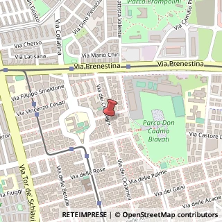 Mappa Via dei Ciclamini, 124, 00171 Roma, Roma (Lazio)