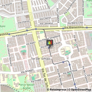 Aziende Sanitarie Locali (ASL),00171Roma