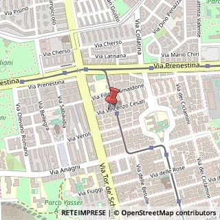 Mappa Via Vincenzo Cesati, 36/38, 00171 Roma, Roma (Lazio)