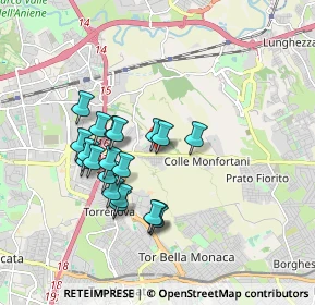 Mappa Via Rocca D'Evandro, 00132 Colle Prenestino RM, Italia (1.653)