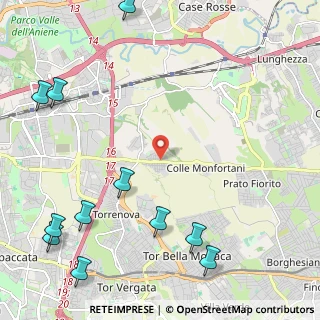 Mappa Via Acerra, 00132 Roma RM, Italia (3.37182)