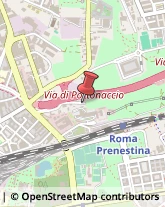 Via Castelguidone, 36,00159Roma