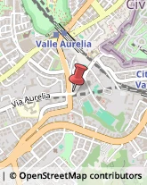 Via Aurelia, 235,00165Roma