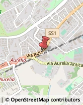 Via Aurelia, 773,00165Roma