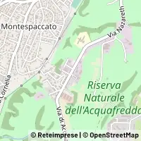Kart Roma