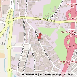 Mappa Via dell'Omo, 95, 00155 Roma, Roma (Lazio)