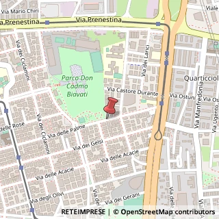 Mappa Via delle Palme,  163, 00171 Roma, Roma (Lazio)