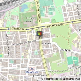 Uccelli,00176Roma