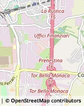 Via Bitonto, 55,00133Roma