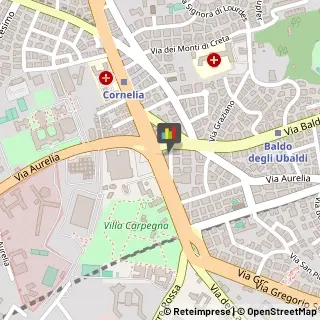 Piante e Fiori - Dettaglio,00165Roma