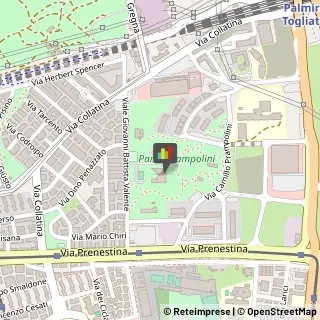 Scuole Pubbliche,00177Roma