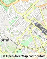 Tour Operator e Agenzia di Viaggi Roma,00184Roma