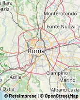 Articoli Sportivi - Dettaglio Roma,00165Roma