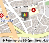 Tour Operator e Agenzia di Viaggi,00167Roma