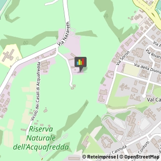 Animali Domestici - Centri Allevamento e Addestramento,00166Roma