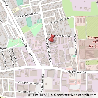 Mappa Via di Tor Sapienza, 179, 00155 Roma, Roma (Lazio)