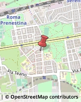 Viale Partenope, 16,00177Roma