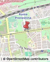 Via Prenestina, 257,00177Roma