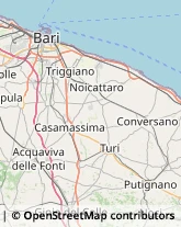 Consulenza di Direzione ed Organizzazione Aziendale Conversano,70014Bari