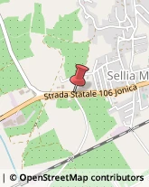 Strada Statale 106, ,88050Sellia Marina