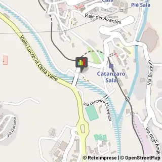 Veterinaria - Ambulatori e Laboratori,88100Catanzaro