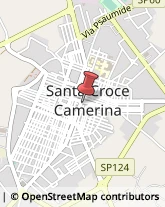 Consulenza del Lavoro Santa Croce Camerina,97017Ragusa