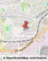 Falegnami,97100Ragusa