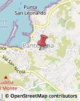 Agricoltura - Attrezzi e Forniture Pantelleria,91017Trapani