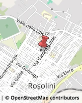 Ricerca Scientifica - Istituti Rosolini,96019Siracusa