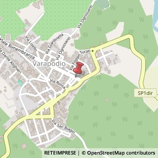 Mappa Via Rimembranza, 17, 89010 Varapodio, Reggio di Calabria (Calabria)