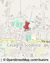 Via Papa Giovanni XXIII, 2,35040Casale di Scodosia