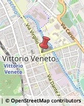 Via Virgilio, 43,31029Vittorio Veneto