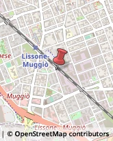 Piazzale Giotto, 1,20851Lissone