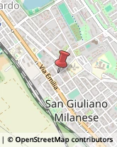 Via Sanremo, 11,20133San Giuliano Milanese