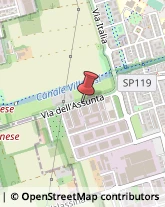Via Assunta, 61,20834Nova Milanese