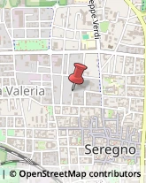 Piazzale Giotto, 1,20851Seregno