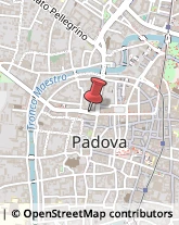 Padova e provincia, ,Padova