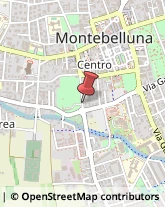 Viale Pietro Bertolini, 51,31044Montebelluna