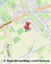 Via Santa Cecilia, 1,31040Volpago del Montello