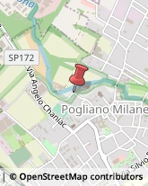 Via Roma, 39,20010Pogliano Milanese