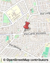 Via Carlo Vizzotto, 13,30027San Donà di Piave